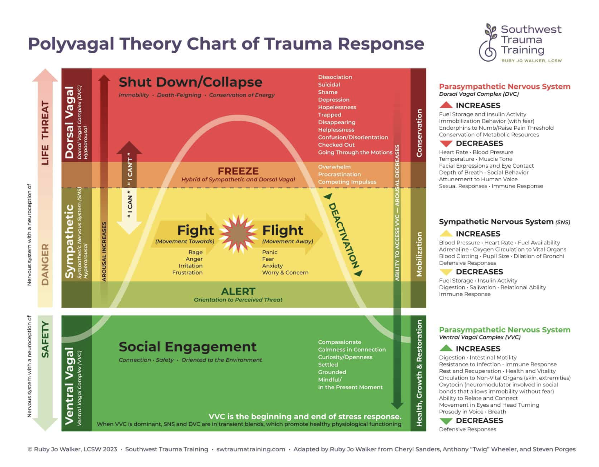 Polyvagal Visual Polyvagal Visual
